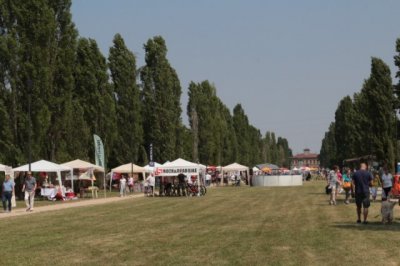 La Festa